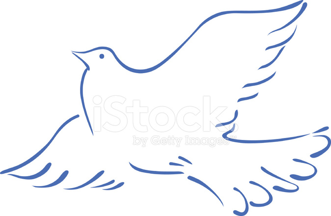 674x440 Sketch Of A Flying Dove Stock Vector - Sketch Of Dove