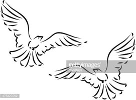 271x200 Sketch Of Two Flying Dove Stock Vectors - Sketch Of Dove