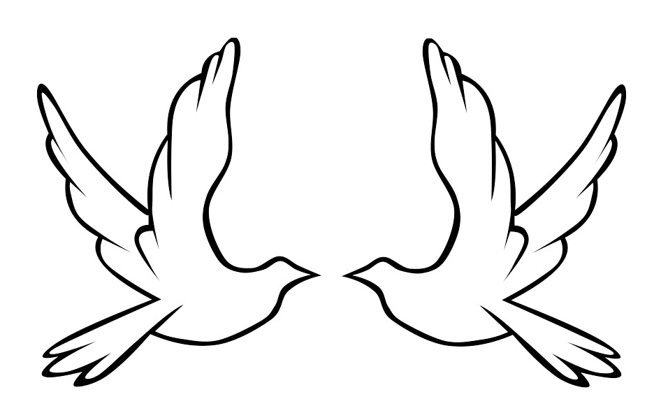 946x581 Dove Sketch - Sketch Of Dove