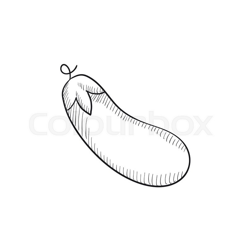 800x800 Eggplant Vector Sketch Icon Isolated On Background. Hand Drawn - Sketch Of Eggplant