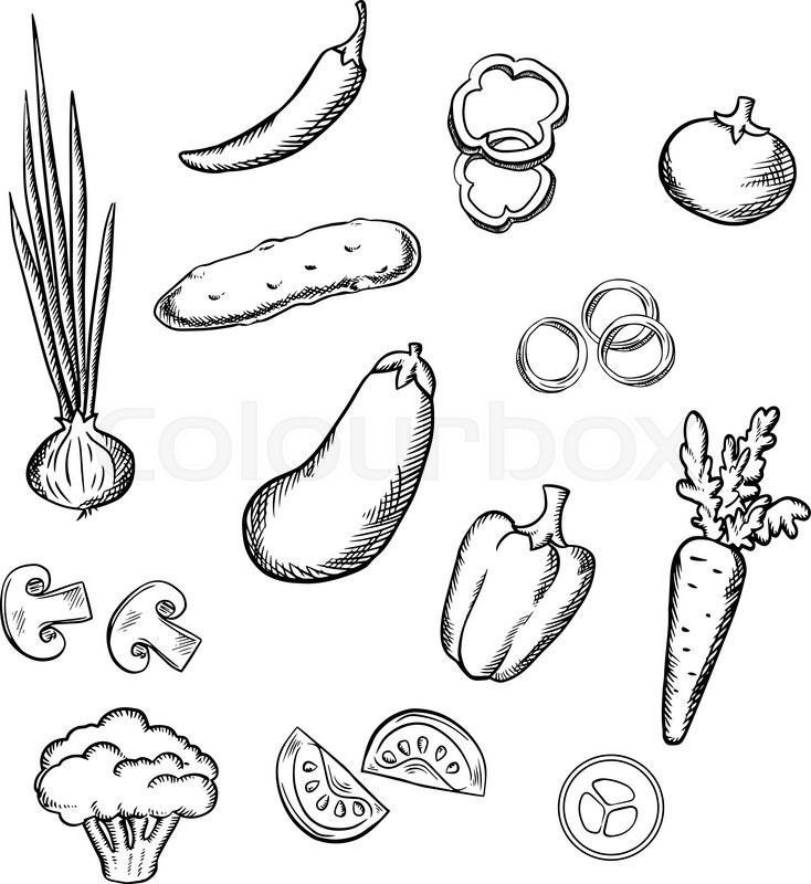 734x800 Fresh Healthful Tomato, Carrot, Cucumber, Eggplant, Onion - Sketch Of Eggplant