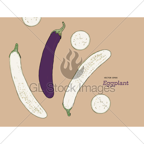 500x500 Hand Drawn Sketch Whole Eggplant With Slices Composition. Gl - Sketch Of Eggplant