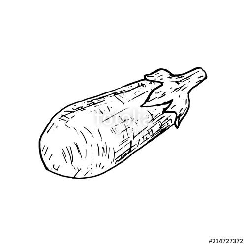 500x500 Hand Drawn Eggplant Doodle. Sketch Style Icon. Decoration Element - Sketch Of Eggplant
