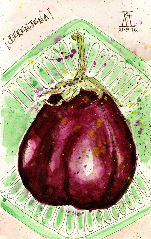 505x800 Aubergine Sketch - Sketch Of Eggplant