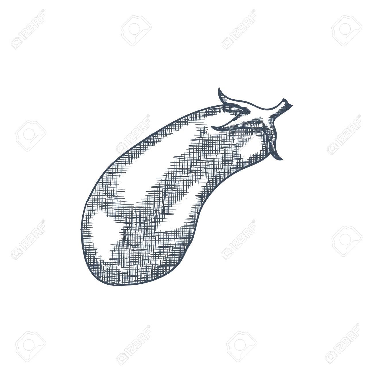 1300x1300 Eggplant Clipart Sketch 18 - Sketch Of Eggplant