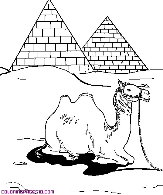 537x640 Egyptian Pyramid Coloring Pages 2225560 - Sketch Of Egyptian Pyramid