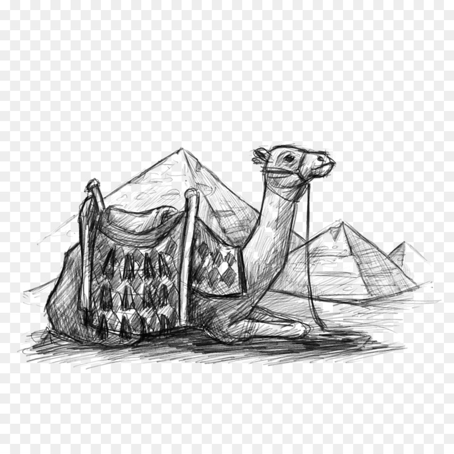 900x900 Egyptian Pyramids Dromedary Desert Drawing - Sketch Of Egyptian Pyramid