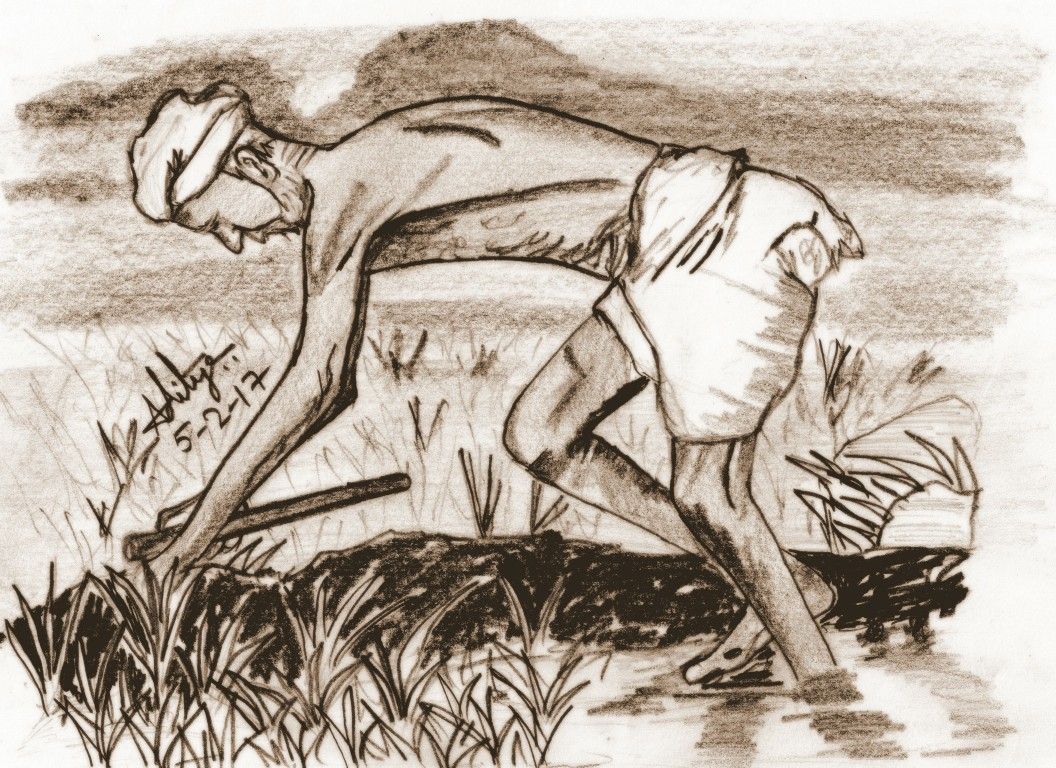 Cute Farmer Drawing Sketch 