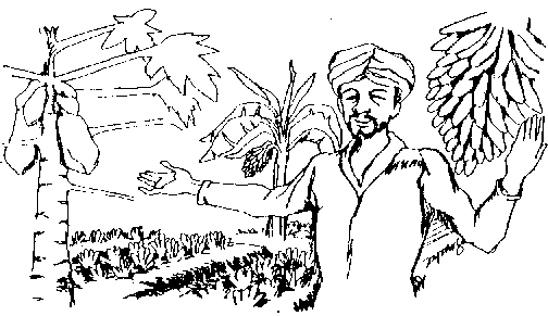 504x291 Agriculture Clipart Sketch India Cute Borders, Vectors, Animated - Sketch Of Farmer