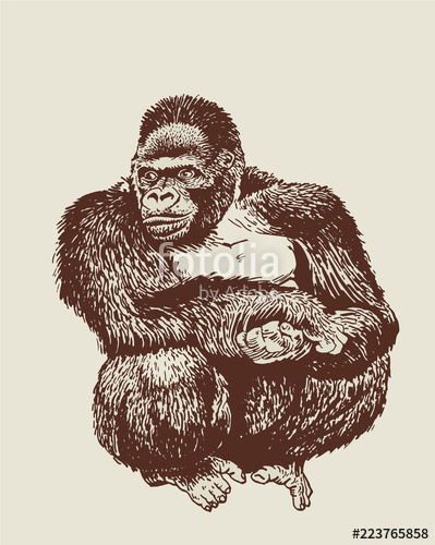 399x500 Graphical Retro Sketch Of Gorilla , Neanderthal Man ,vector Stock - Sketch Of Gorilla
