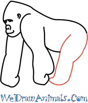 300x350 How To Draw A Gorilla - Sketch Of Gorilla