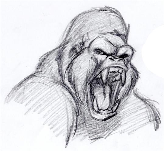 Sketch Of Gorilla at PaintingValley.com | Explore collection of Sketch ...