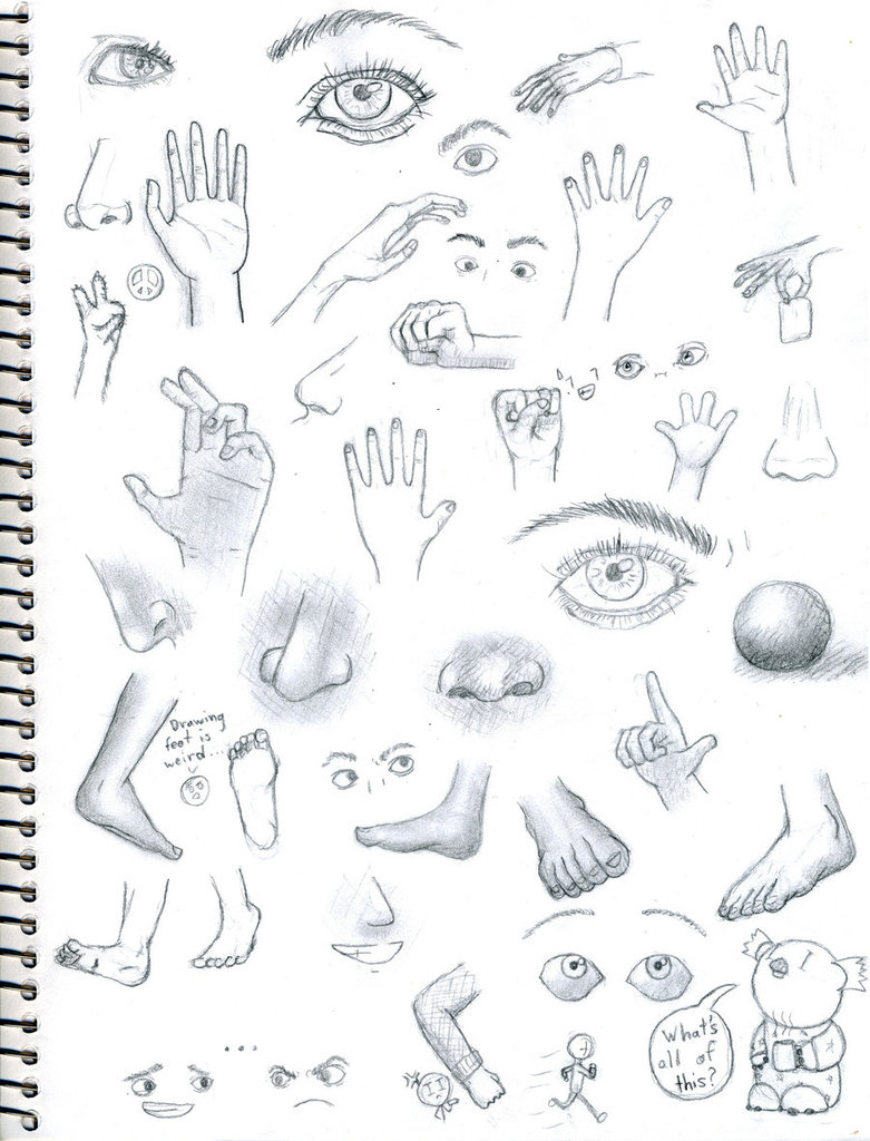 781x1024 Sketch Pagebody Parts By Chichichannel - Sketch Of Human Body Parts