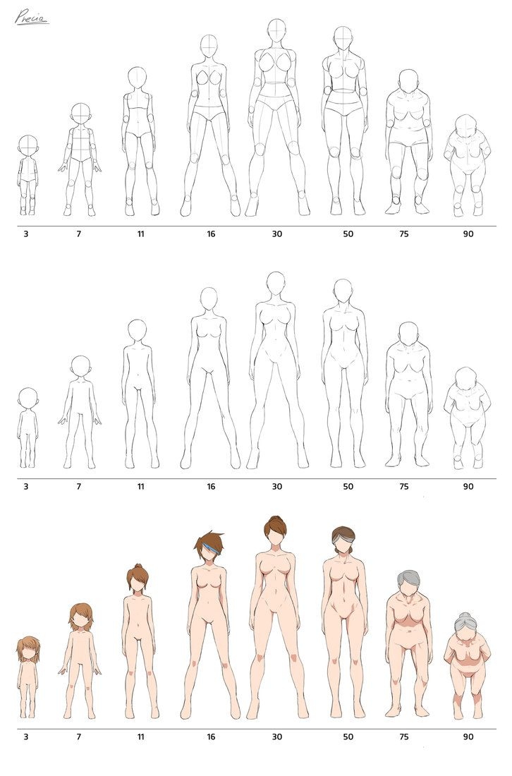 726x1100 Body Parts Female Pictures Fresh Girls Human Body Parts Sketch - Sketch Of Human Body Parts