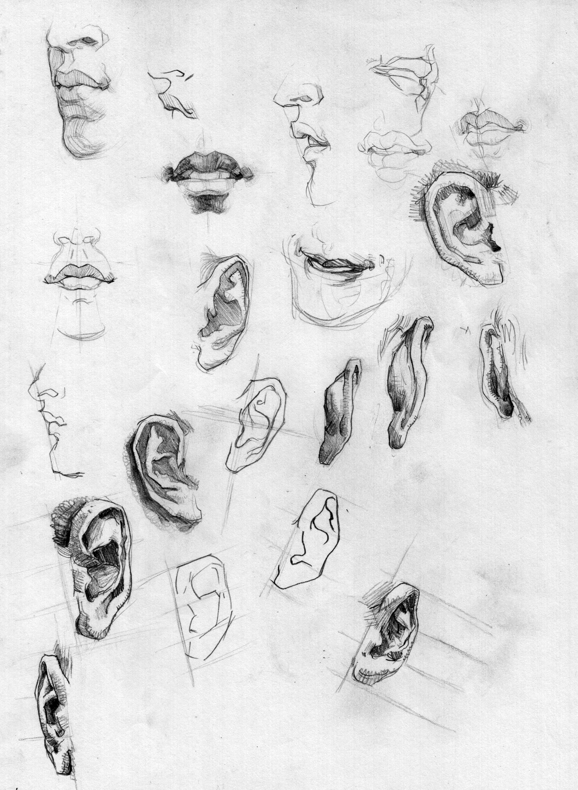 Sketches Of Human Body Parts Chelss Chapman