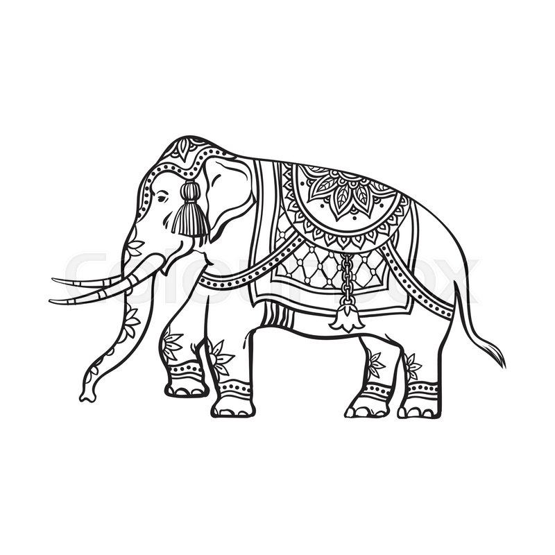 800x800 Vector Sketch Cartoon Indian Decorated Oriental Elephant. Isolated - Sketch Of India