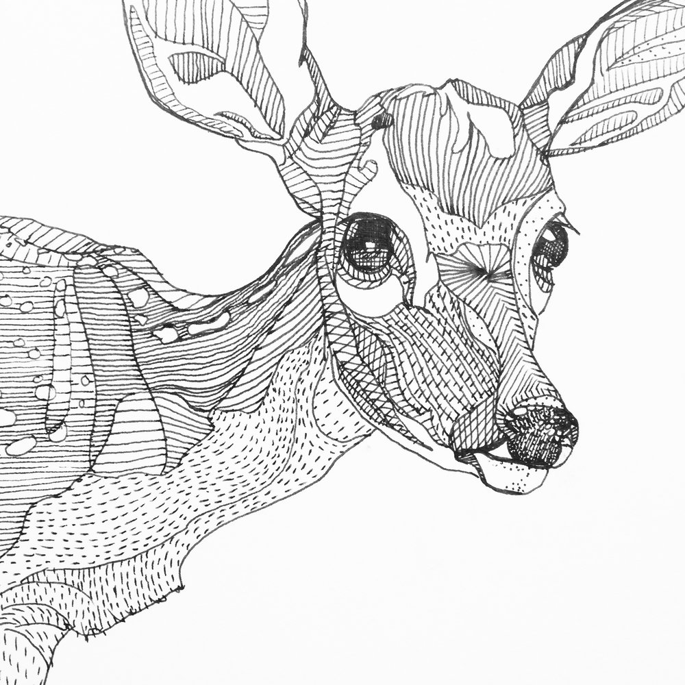 1000x1000 Pen Sketch Deer Octothorpe Industries - Sketch Of Pen