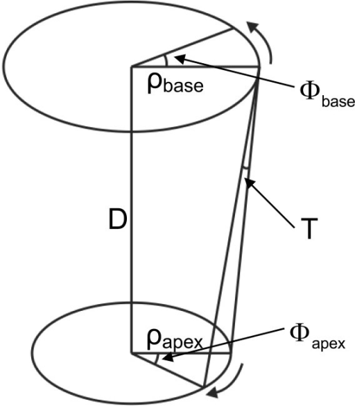 512x585 A Sketch Of A Basal And An Apical Plane And The Torsion Open I - Sketch Of Plane
