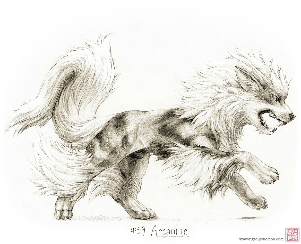 1169x950 Drawings Of - Sketch Of Pokemon