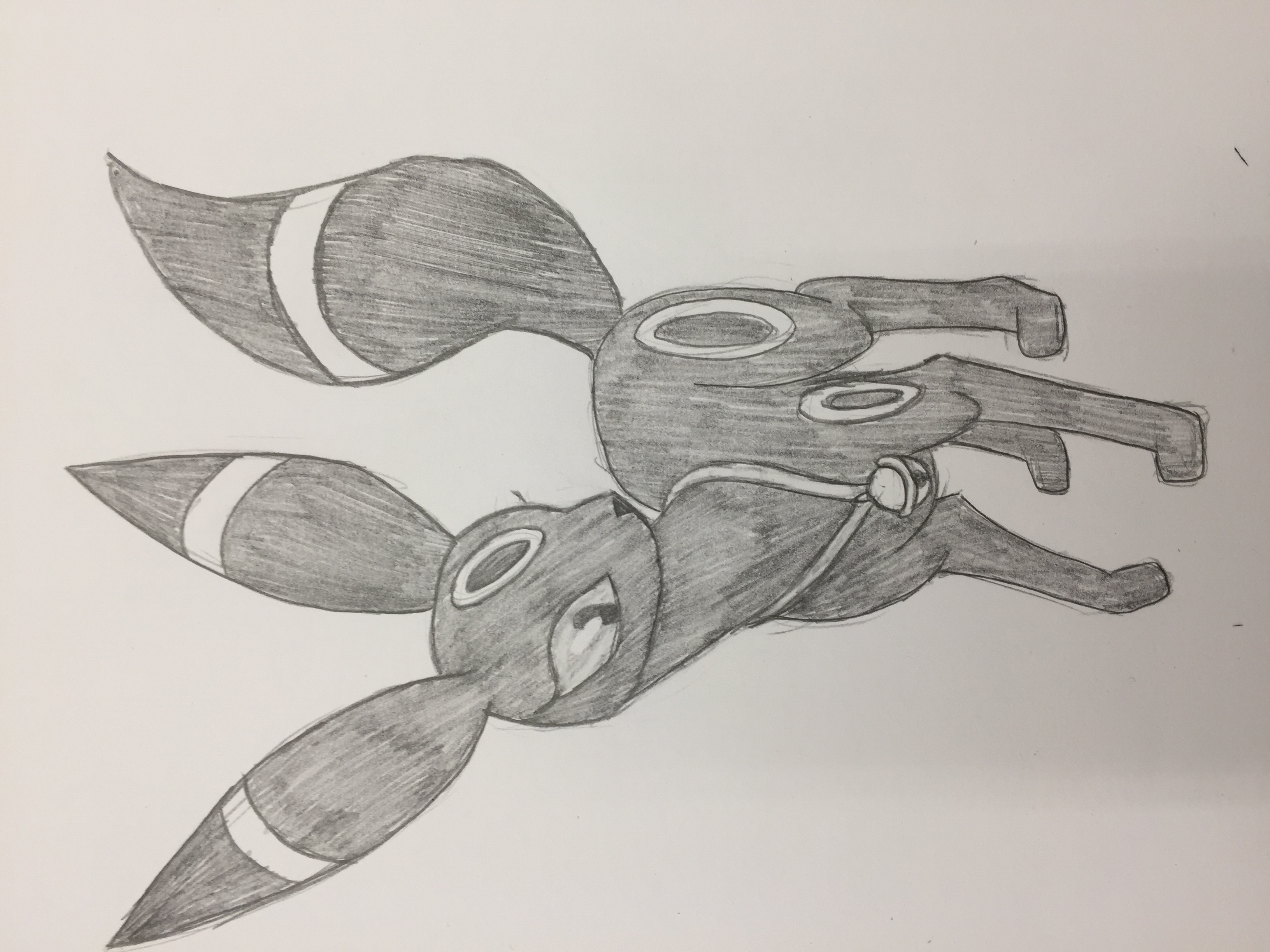 3264x2448 Umbreon +sooth Bell Pokemon Sketches Weasyl - Sketch Of Pokemon