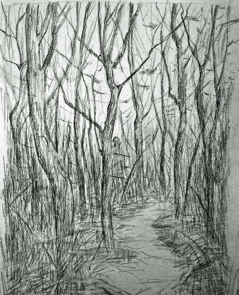 Sketch Of The Woods at Explore collection of