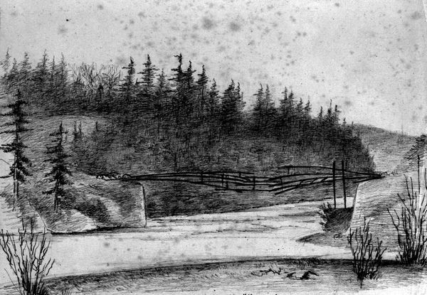 600x415 Living Landscapes - Sketch Of The Woods