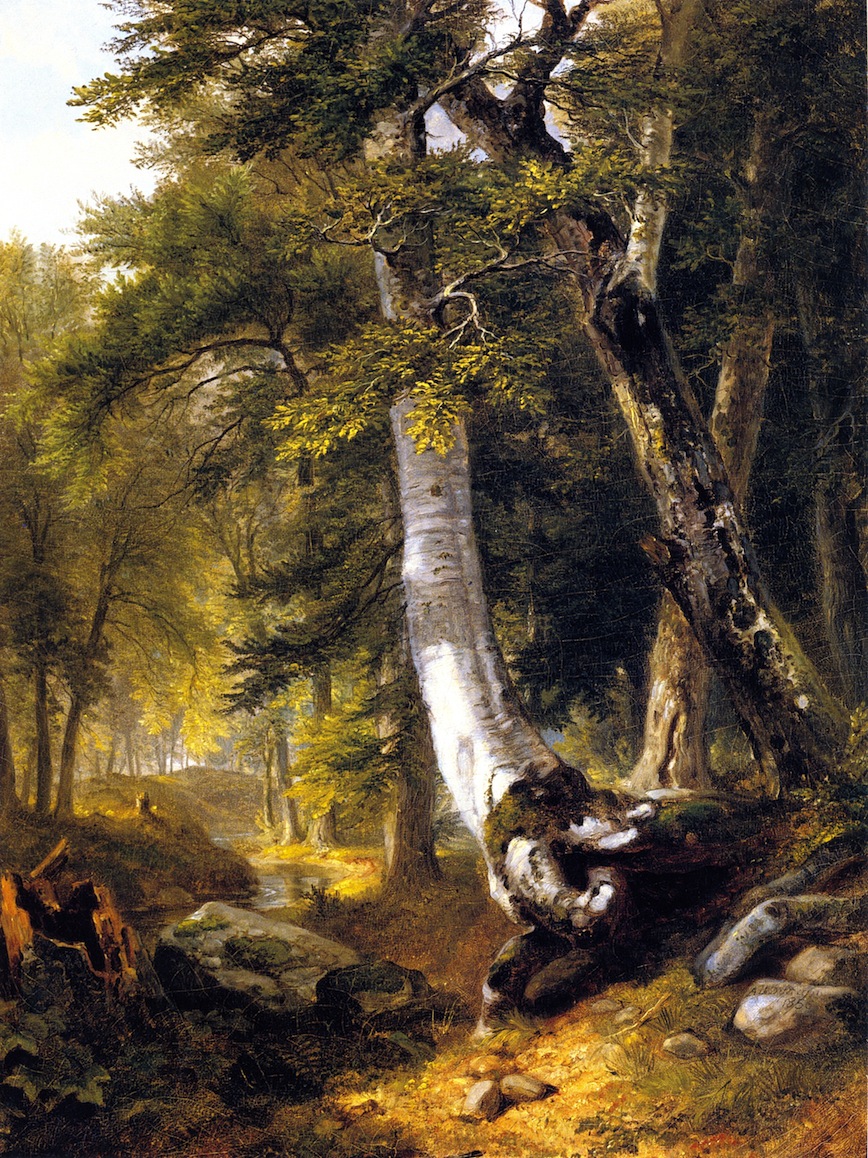 868x1158 Sketch In The Woods Painting Asher B Durand Oil Paintings - Sketch Of The Woods