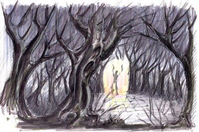 402x267 Witchy Woods - Sketch Of The Woods
