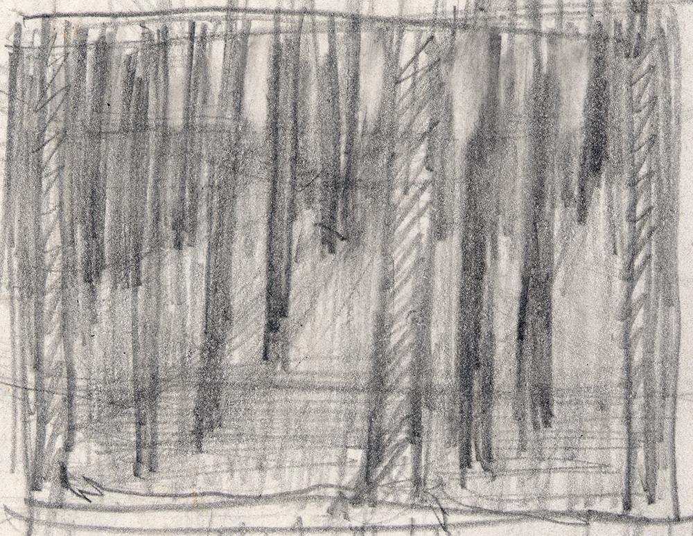1000x774 Woods - Sketch Of The Woods