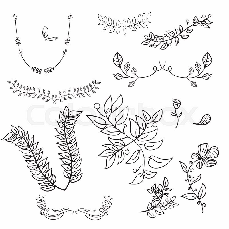 800x800 Hand Drawing Floral Leaf Ornament Vector Sketch Flower - Sketch Ornament
