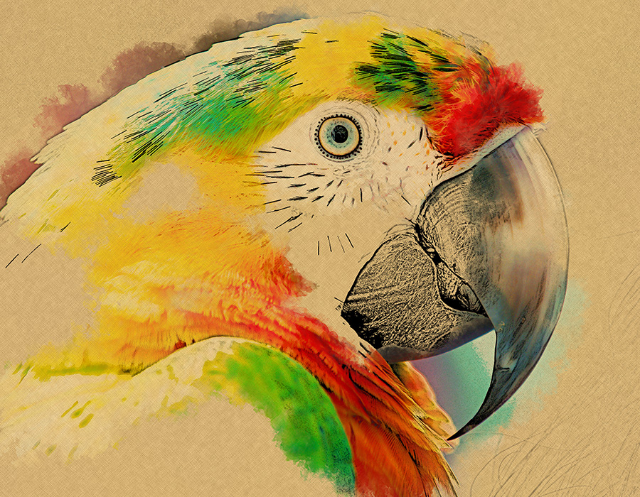 900x700 Sketch Painting By Srvalle Graphicriver - Sketch Painting Images