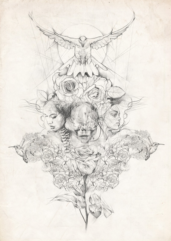 568x800 Pencil Drawing Montage On Vintage Paper Background By Art By Doc - Sketch Paper Background