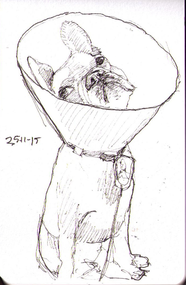 653x1000 Quick Sketch Of A Dog With A Lamp Screen One Drawing Daily - Sketch Picture Of Dog