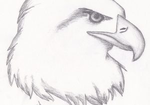 300x210 Easy Sketches Of Animals Sketches Of Animals Easy Animals Sketches - Sketch Pictures Easy