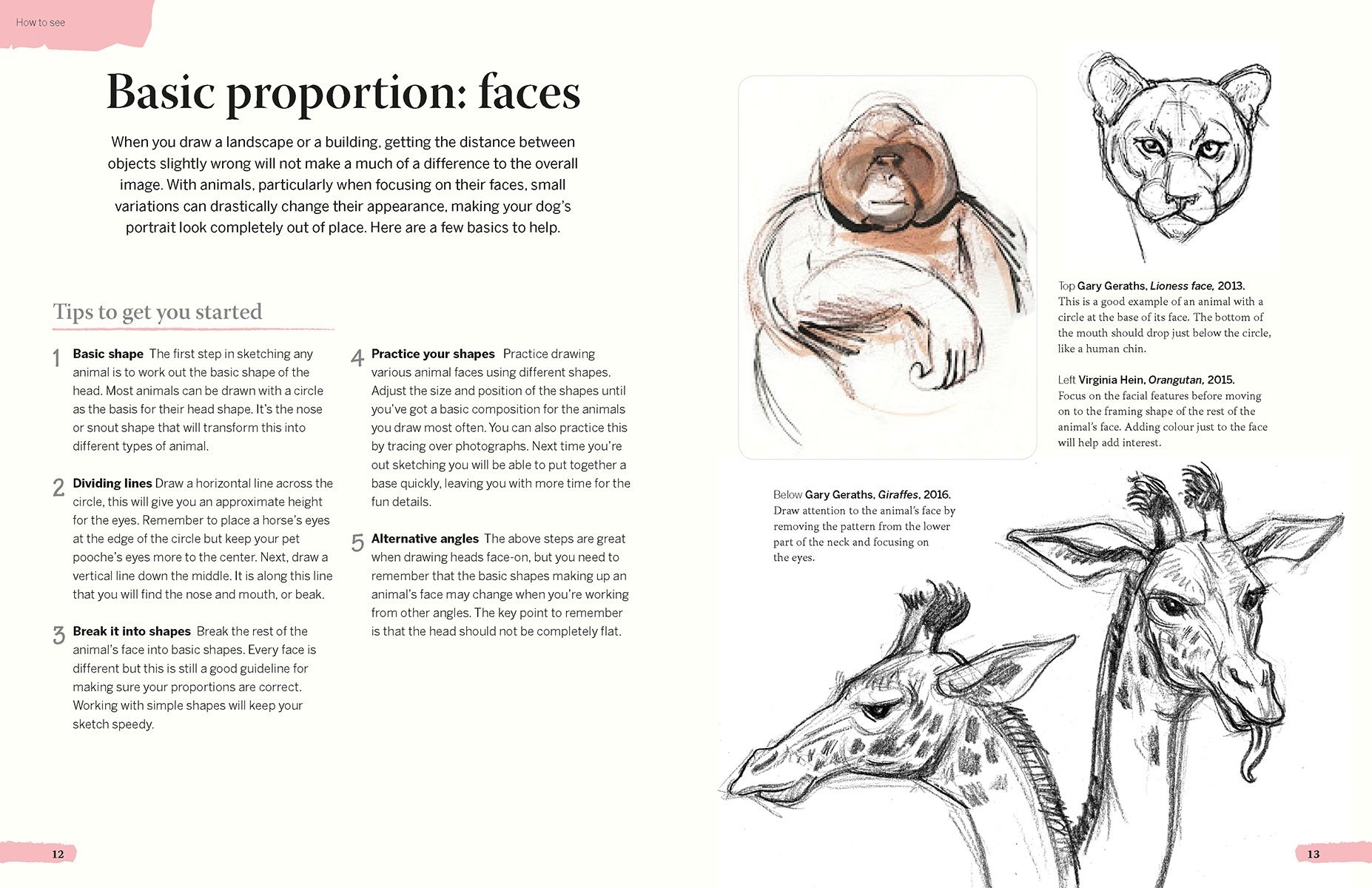 1854x1200 5 Minute Sketching - Sketch Pictures Of Animals