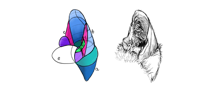 688x283 How To Draw Cats Step By Step With Monika Zagrobelna - Sketch Pictures Of Cats