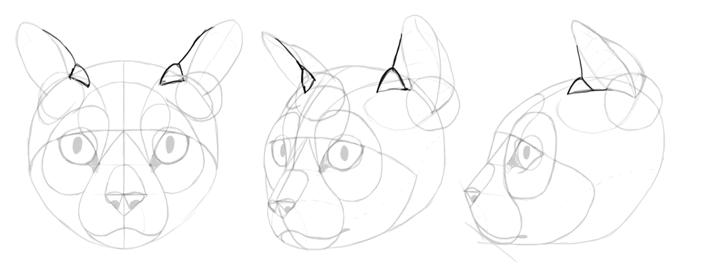 1000x390 How To Draw Cats Step By Step With Monika Zagrobelna - Sketch Pictures Of Cats