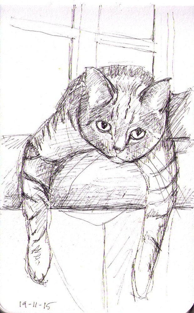 620x1000 Lounging Cat Sketch One Drawing Daily - Sketch Pictures Of Cats