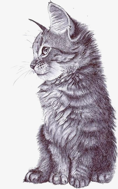 405x650 Sketch Cat, Cat Clipart, Painted Cat, Cartoon Cat Png Image And - Sketch Pictures Of Cats