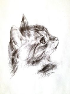 236x314 The 299 Best Drawing Cats Images In 2018 Draw - Sketch Pictures Of Cats
