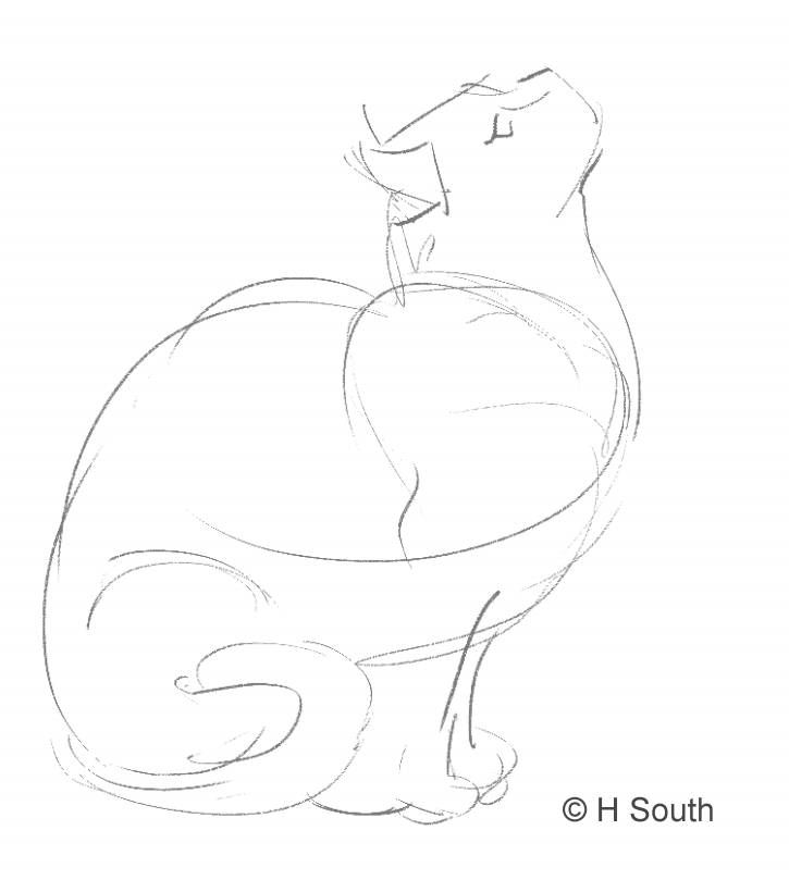 725x809 Your Guide To Drawing And Sketching Cats Animals In Art - Sketch Pictures Of Cats