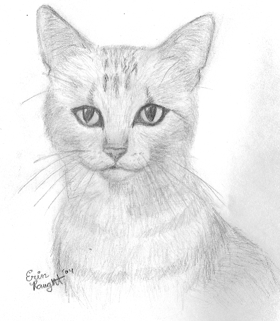 395x453 Cat Sketch By Psychicpsycho - Sketch Pictures Of Cats