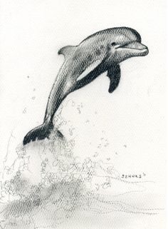 236x321 Drawn Dolphins Texture Free Collection Download And Share Drawn - Sketch Pictures Of Dolphins