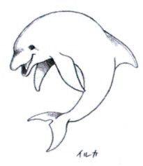 205x237 Image - Sketch Pictures Of Dolphins