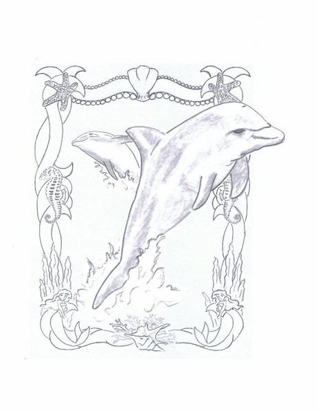 463x600 Mural (Sketch Dolphins) By Rodney Shortsleeve - Sketch Pictures Of Dolphins