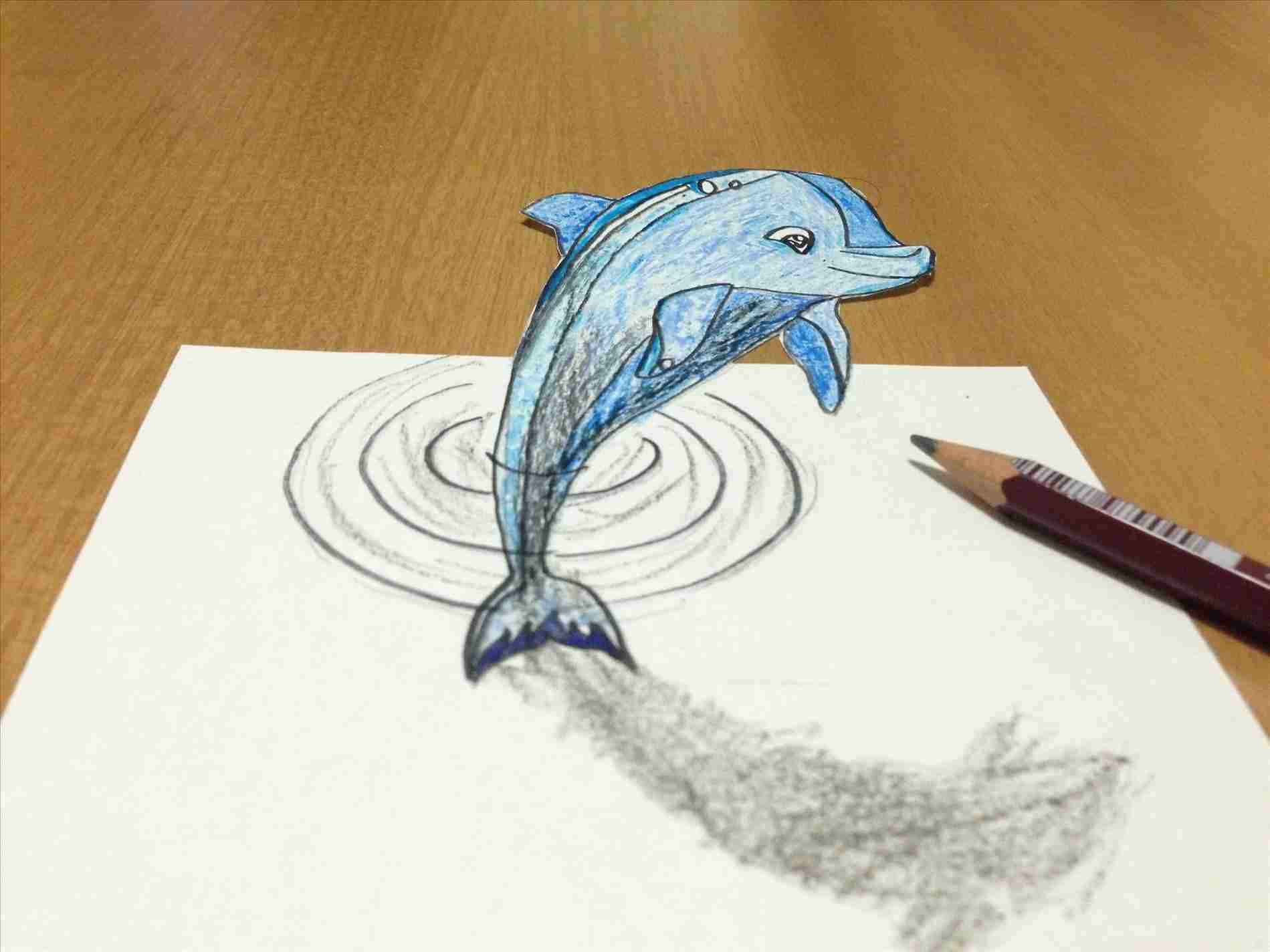 Pencil Dolphin Drawing Easy