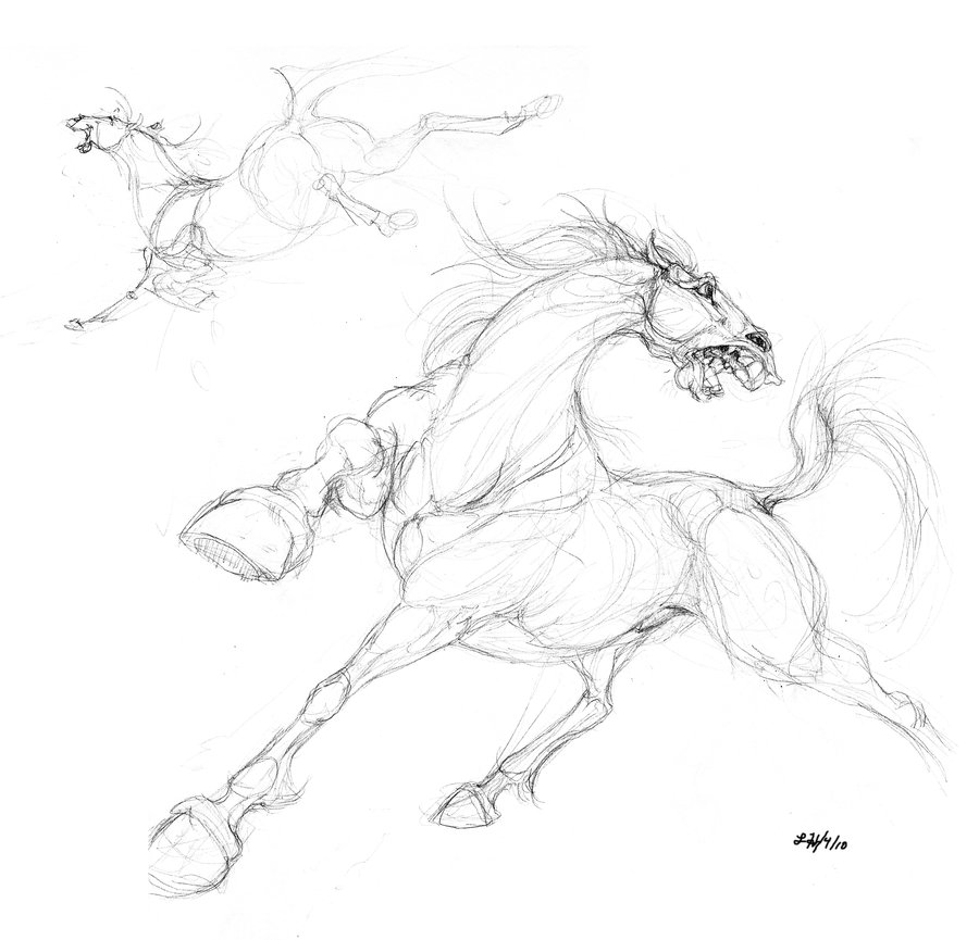 900x865 More Horse Sketches By Chalicothere - Sketch Pictures Of Horses