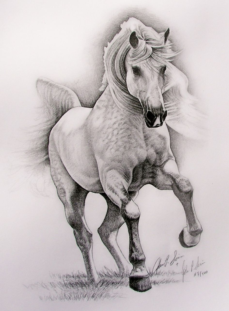 945x1280 Pencil Sketch Horse Beautiful Artwork. Horses - Sketch Pictures Of Horses