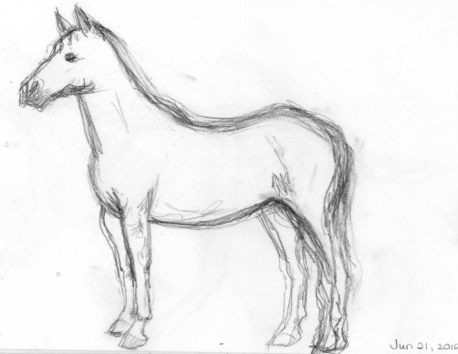 1600x1237 Frabjous Art Musings Horse Sketch 1 - Sketch Pictures Of Horses