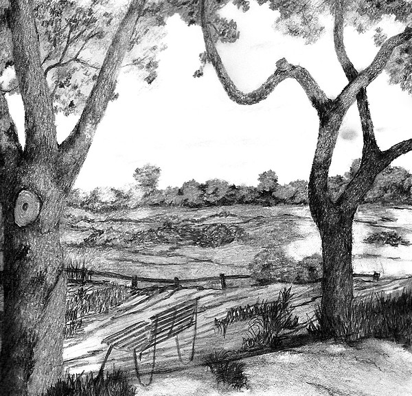 600x577 Nature Sketch Drawing By John Stuart Webbstock - Sketch Pictures Of Nature